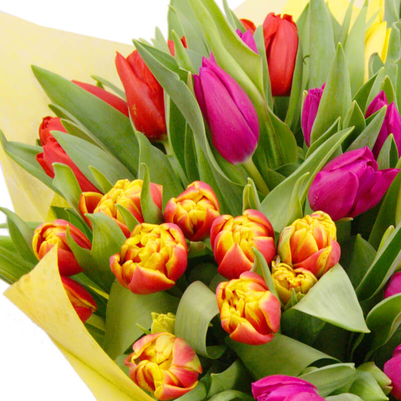 Clare Florist – Your Go-To Destination for Beautiful Flowers Delivered Across the UK